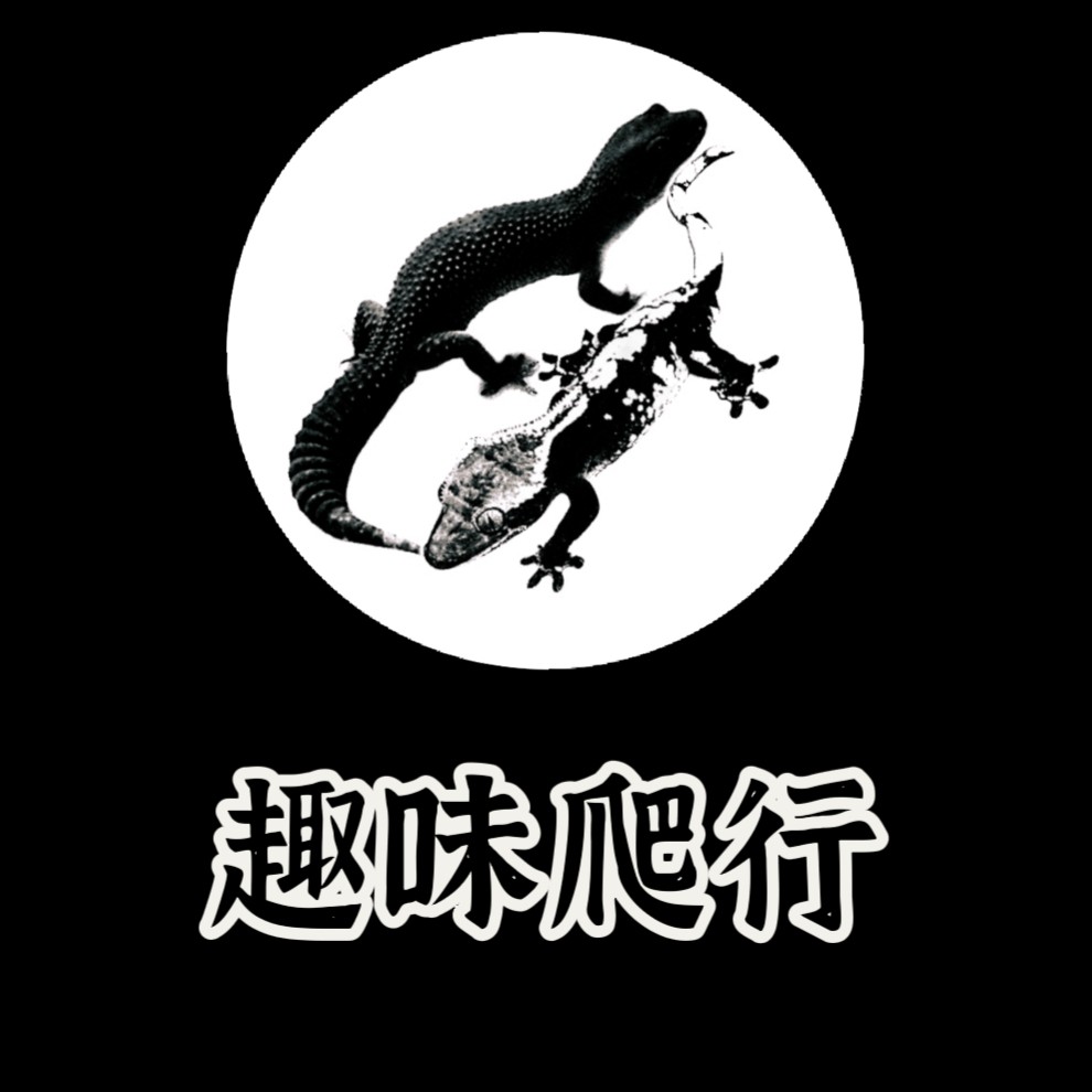 趣味爬行