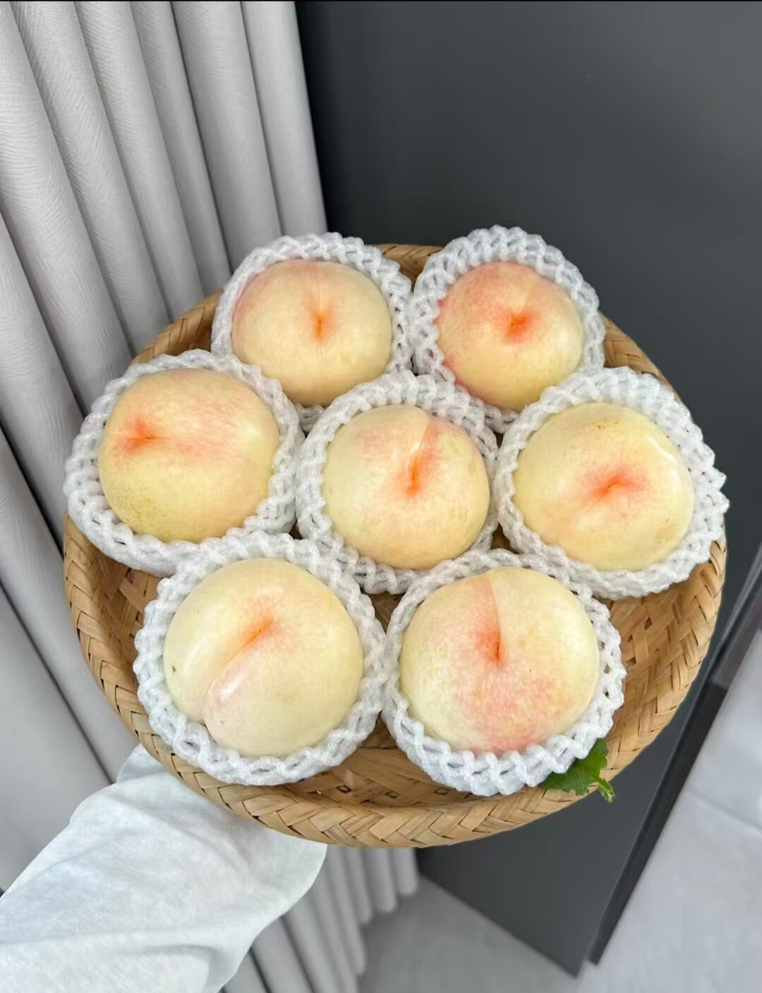 沂蒙桃王