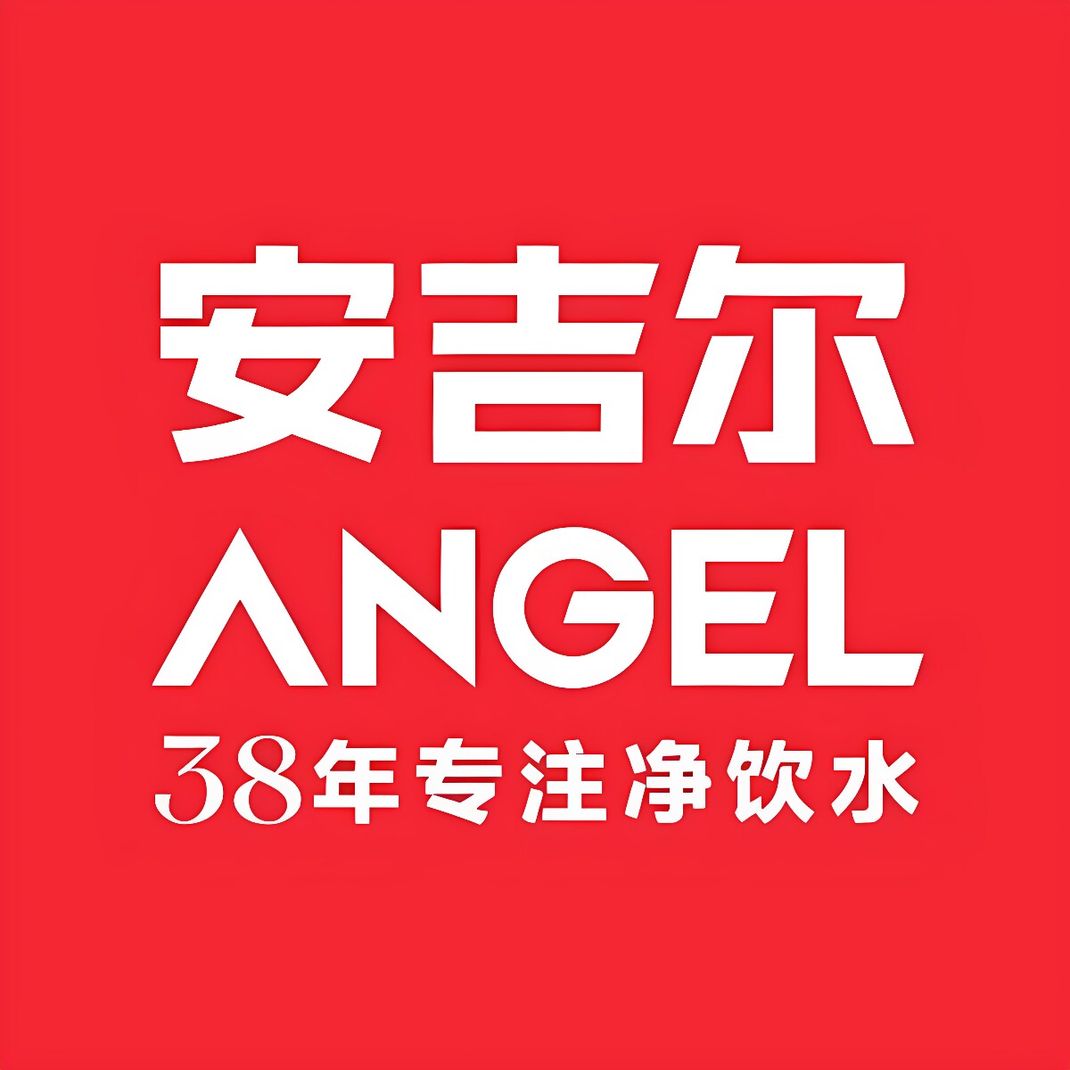 安吉尔益绍拓专卖店 店铺LOGO
