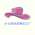 小七家抖音网红工厂