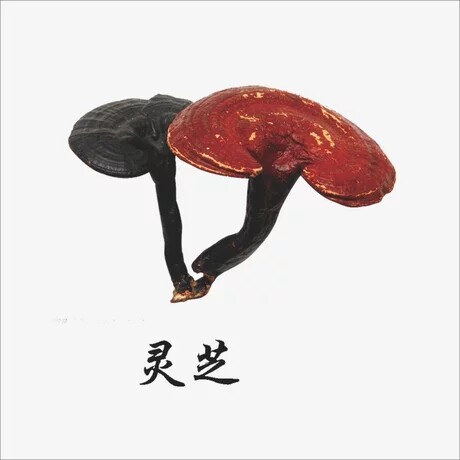 云南滋补特产