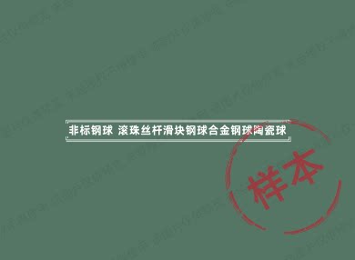 非标钢球钢珠
