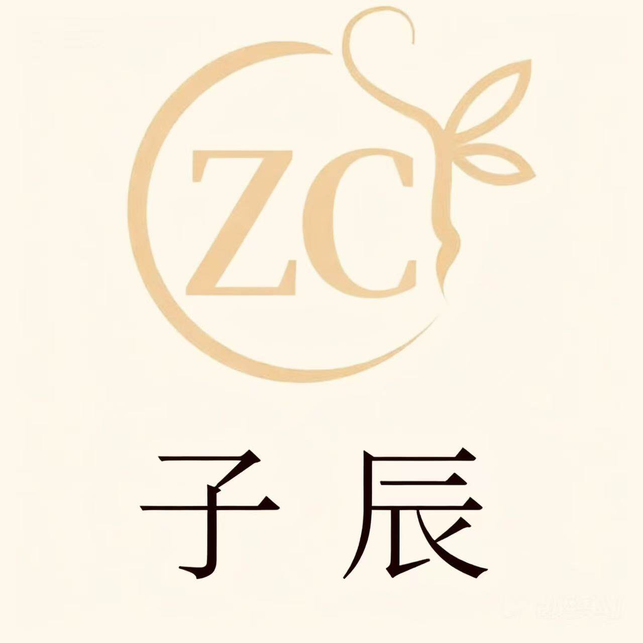 子辰GZF高端精品女装皮草