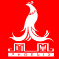 Phoenix凤凰儿童自行车