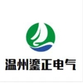 温州鎏正电气