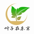 叶子在东京