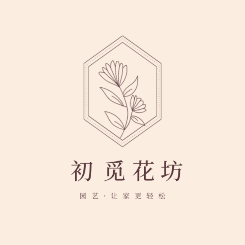初觅花坊