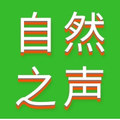 悦声听力