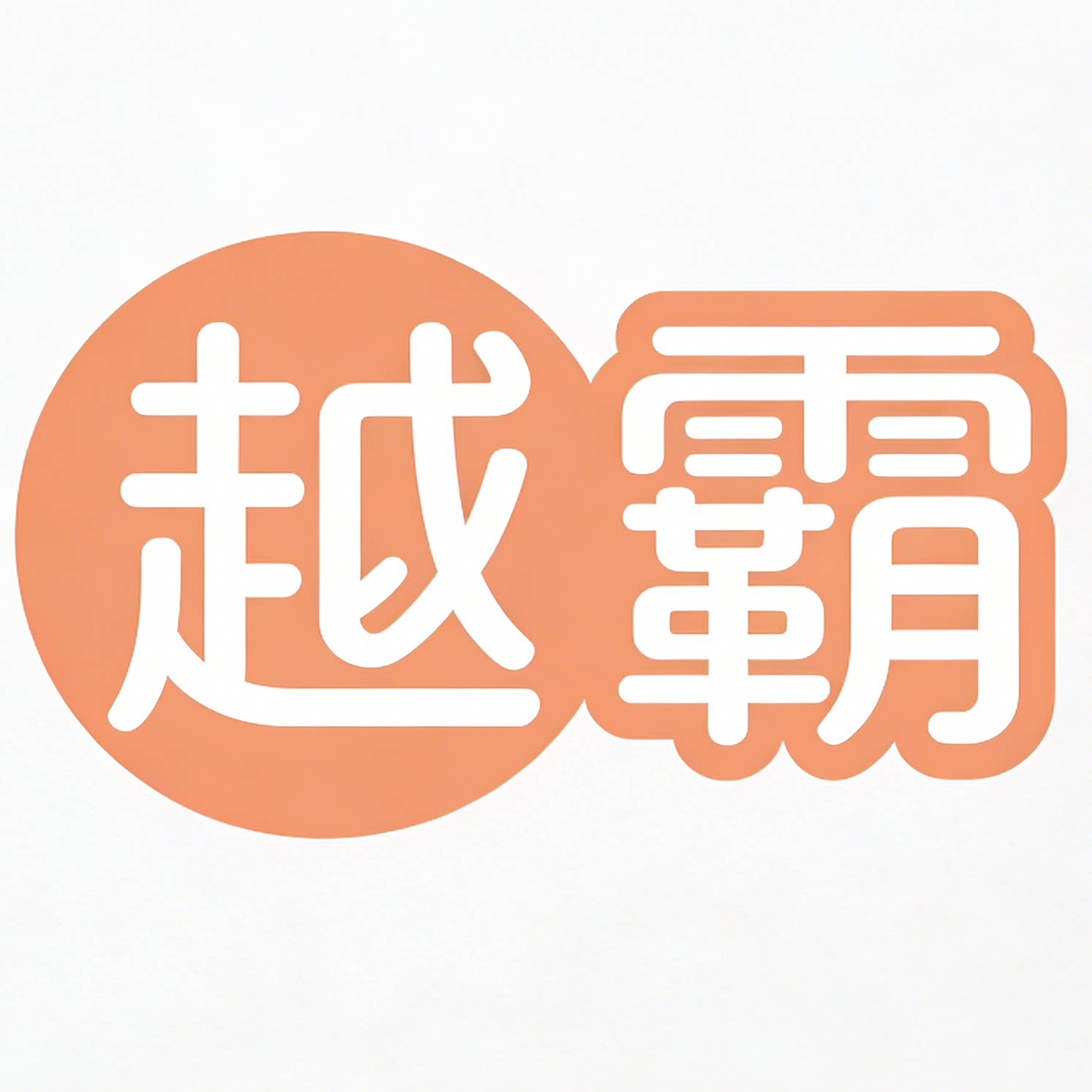 越霸旗舰店