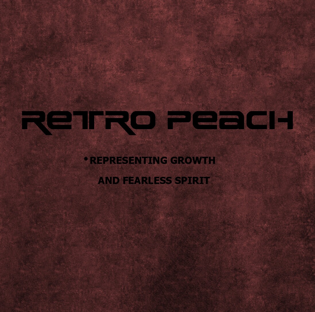 莓素Retro Peach 店铺LOGO