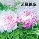 艺缘书画纸厂