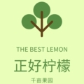 广东正好柠檬千亩果园