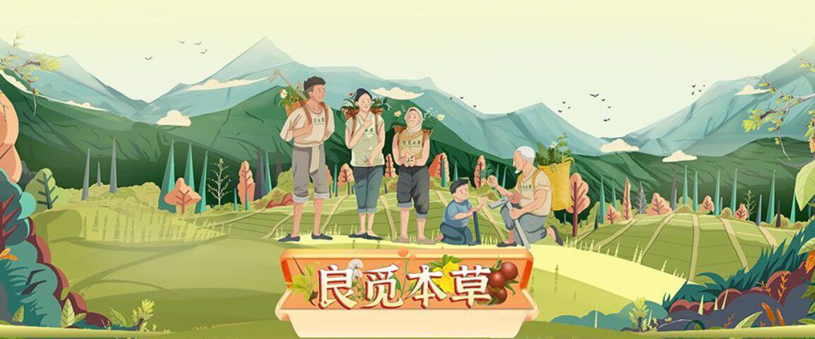 酸枣芽官方店