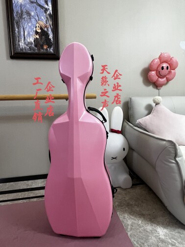 天籁之声乐器箱包