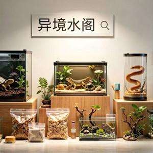 异境水阁