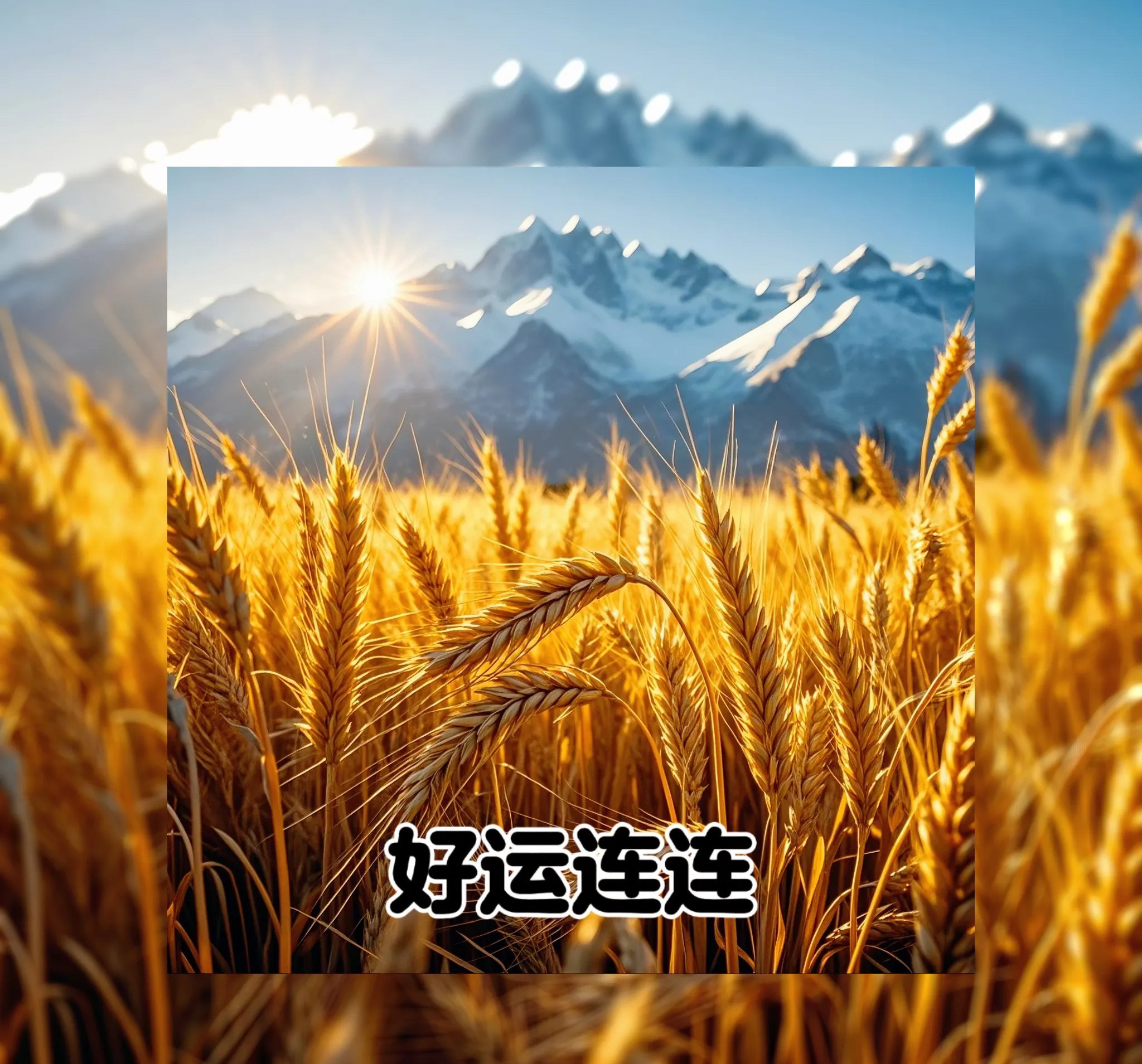 青年良百货店