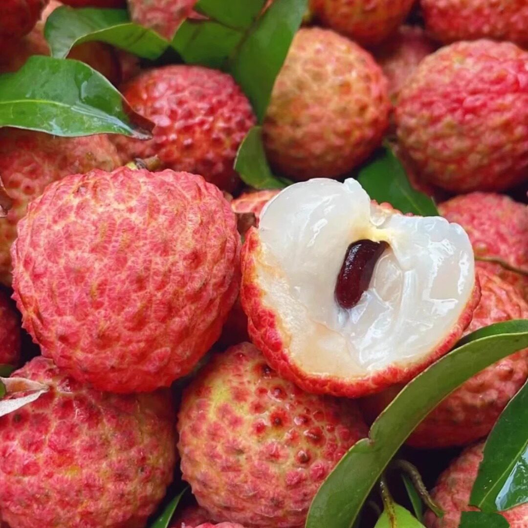 深圳南山荔枝西丽果场