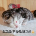 猫言喵语生活馆