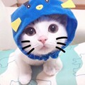 小智积木世界
