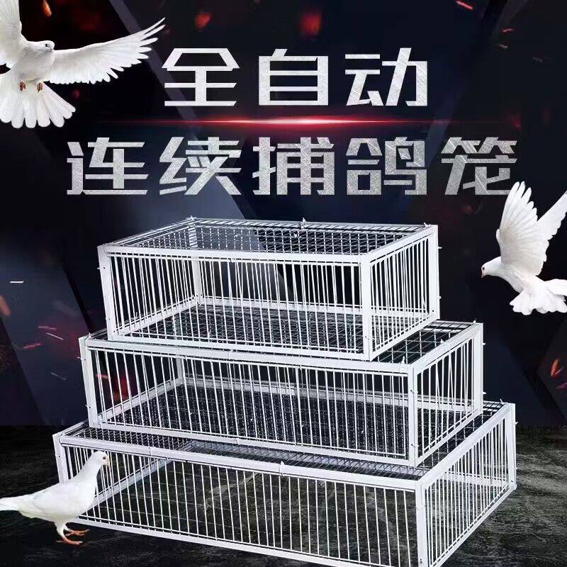 追忆鸽具