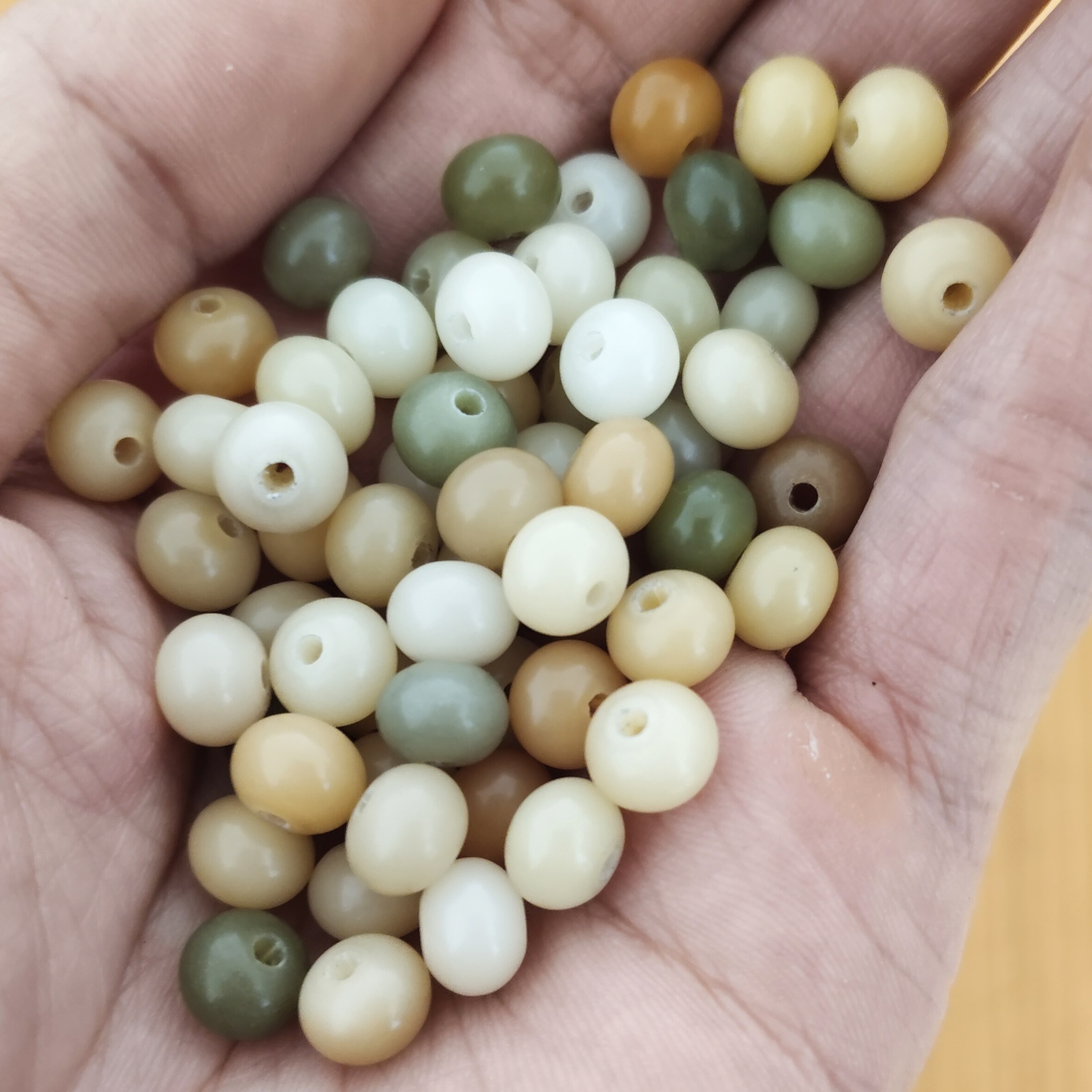 天然原色菩提根