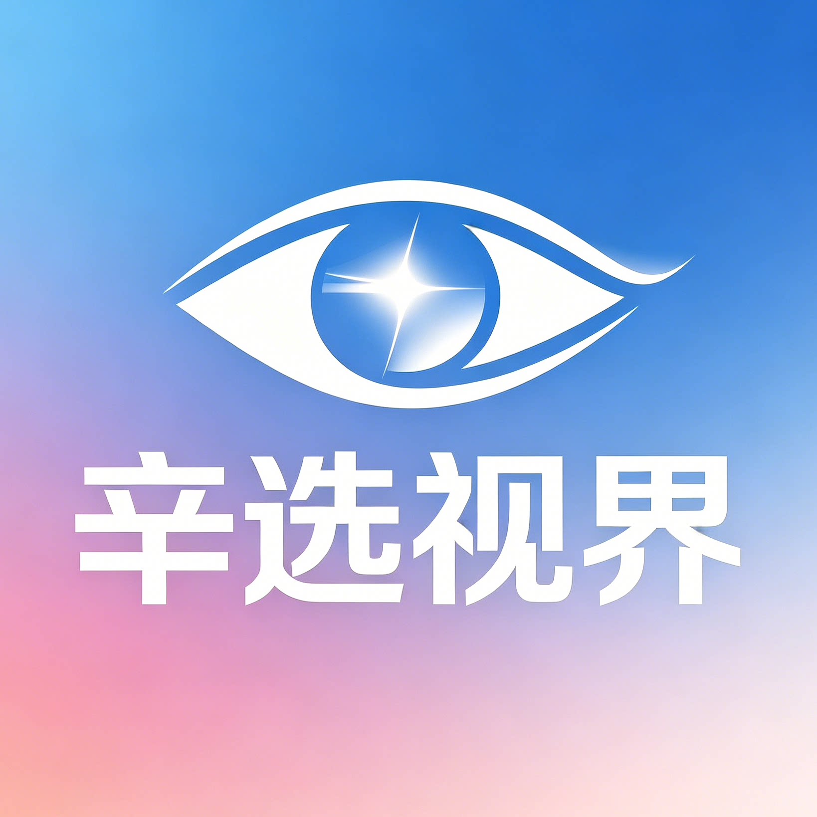 辛选视界