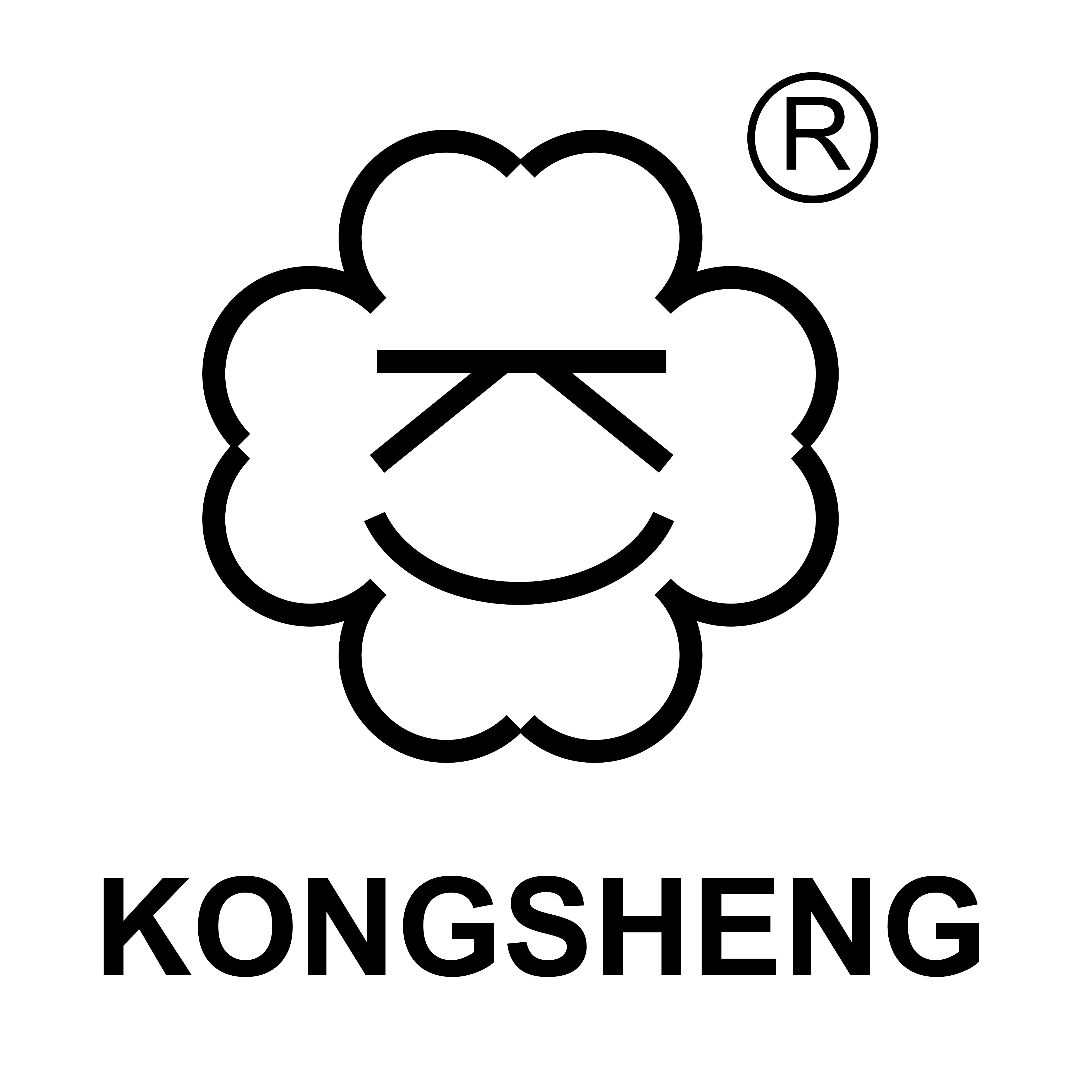 孔声旗舰店