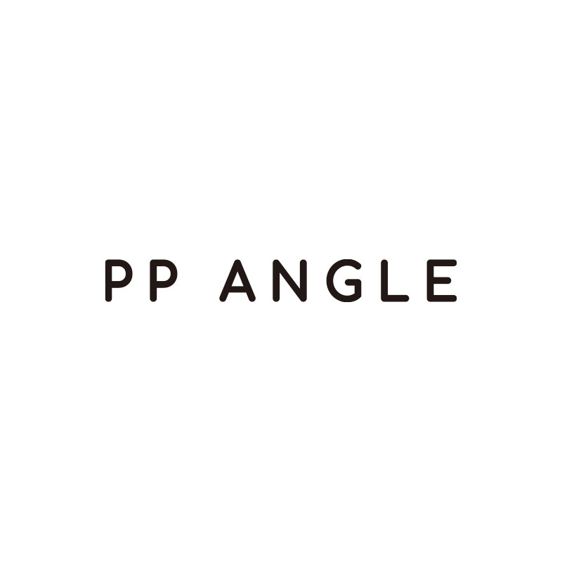 PP ANGLE