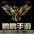 小鹏鹏网游