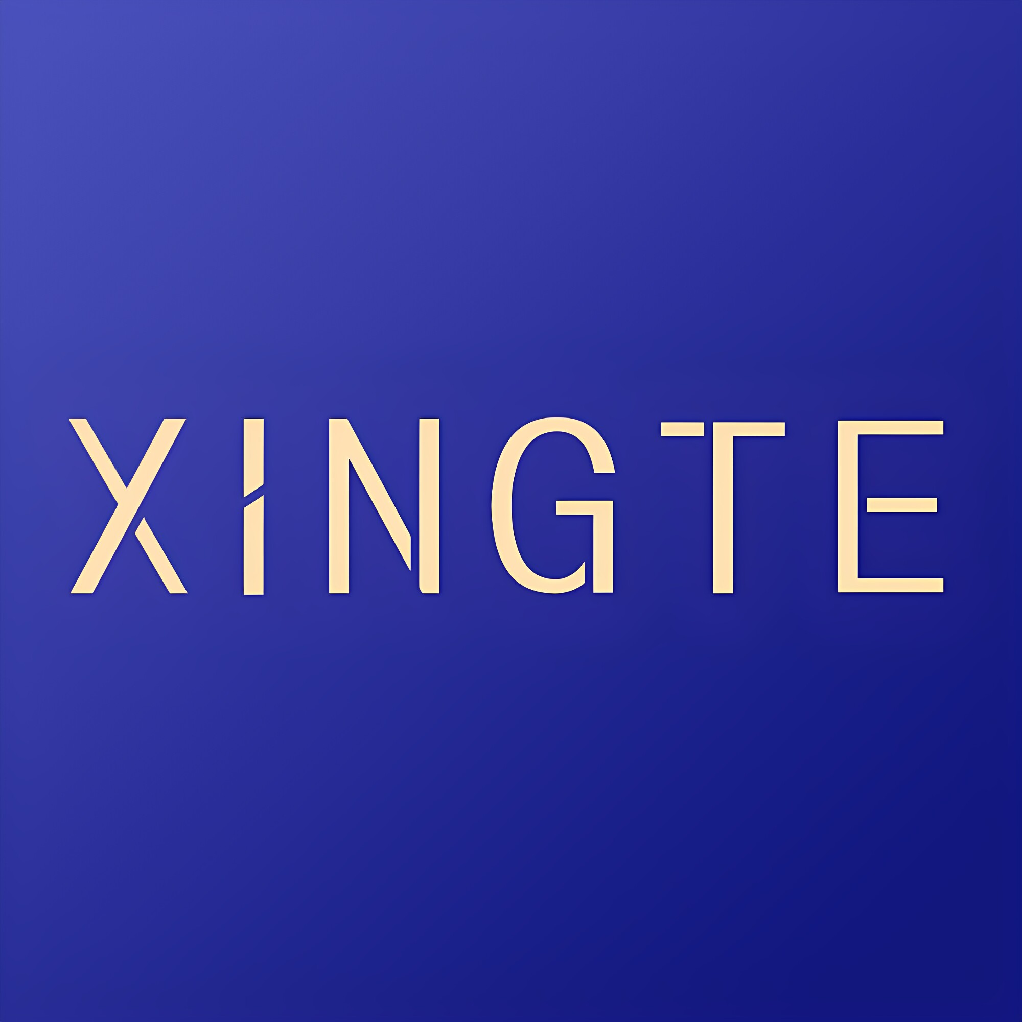 XINGTE高端豪华拉手 店铺LOGO