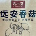 土俏妞