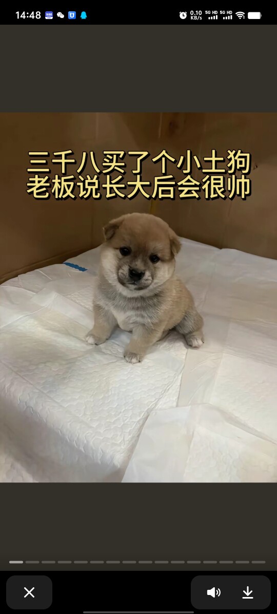 望优