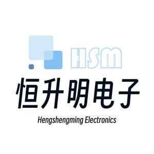 恒升明电子