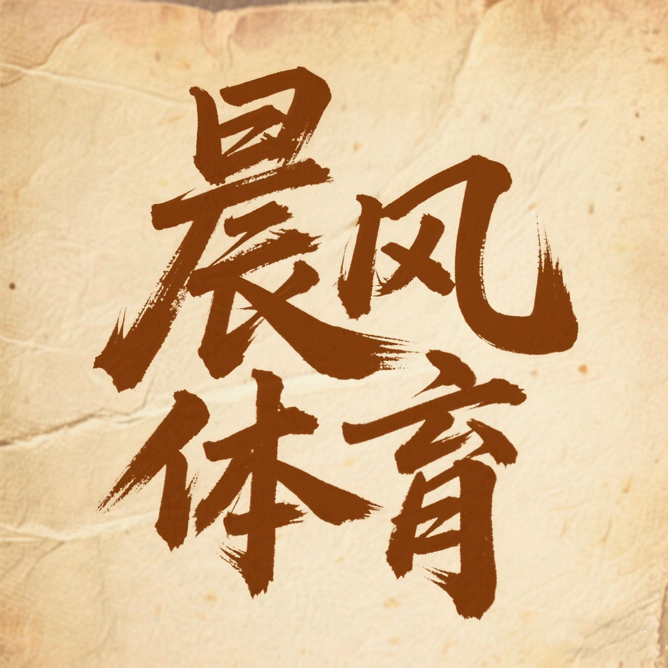 晨风体育正品折扣店