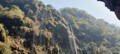 黔山绿植