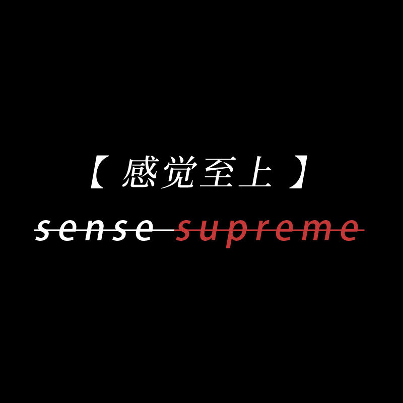 感觉至上 sense supreme