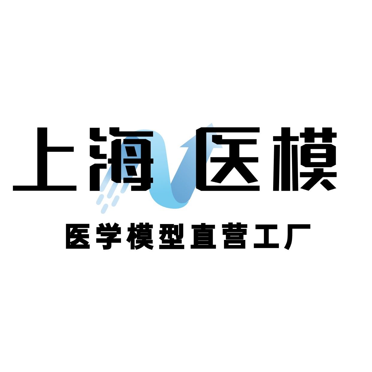 医学教学  模型直销