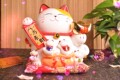 桌游精品玩具行
