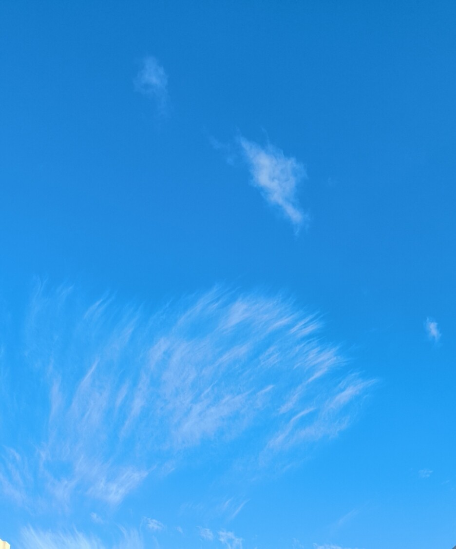 实验室分析耗材