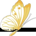 Amor est vitae esse 店铺LOGO