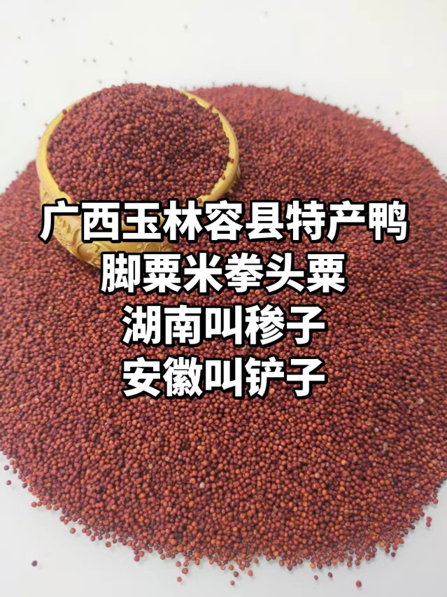 涂涂土特产店