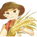 外婆家的余粮
