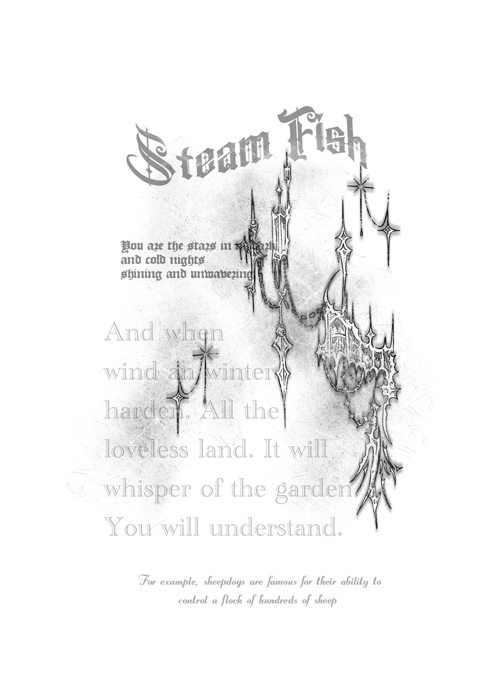 Steam Fish蒸汽鱼 店铺LOGO