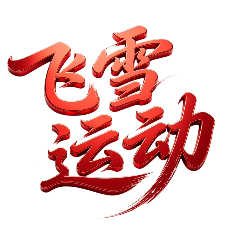 飞雪运动