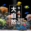 大自然生活馆GG