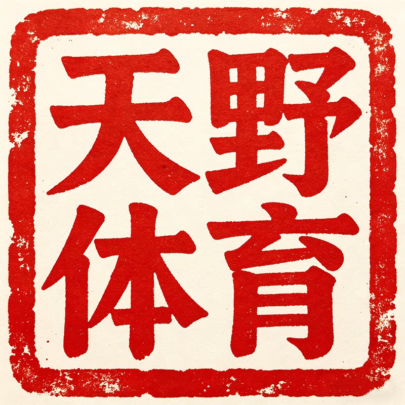 天野体育一正品代购
