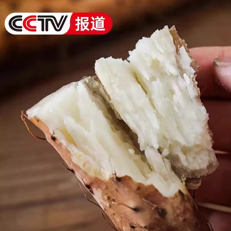 怀农二代正宗铁棍山药品牌店