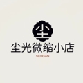 尘光微缩小店