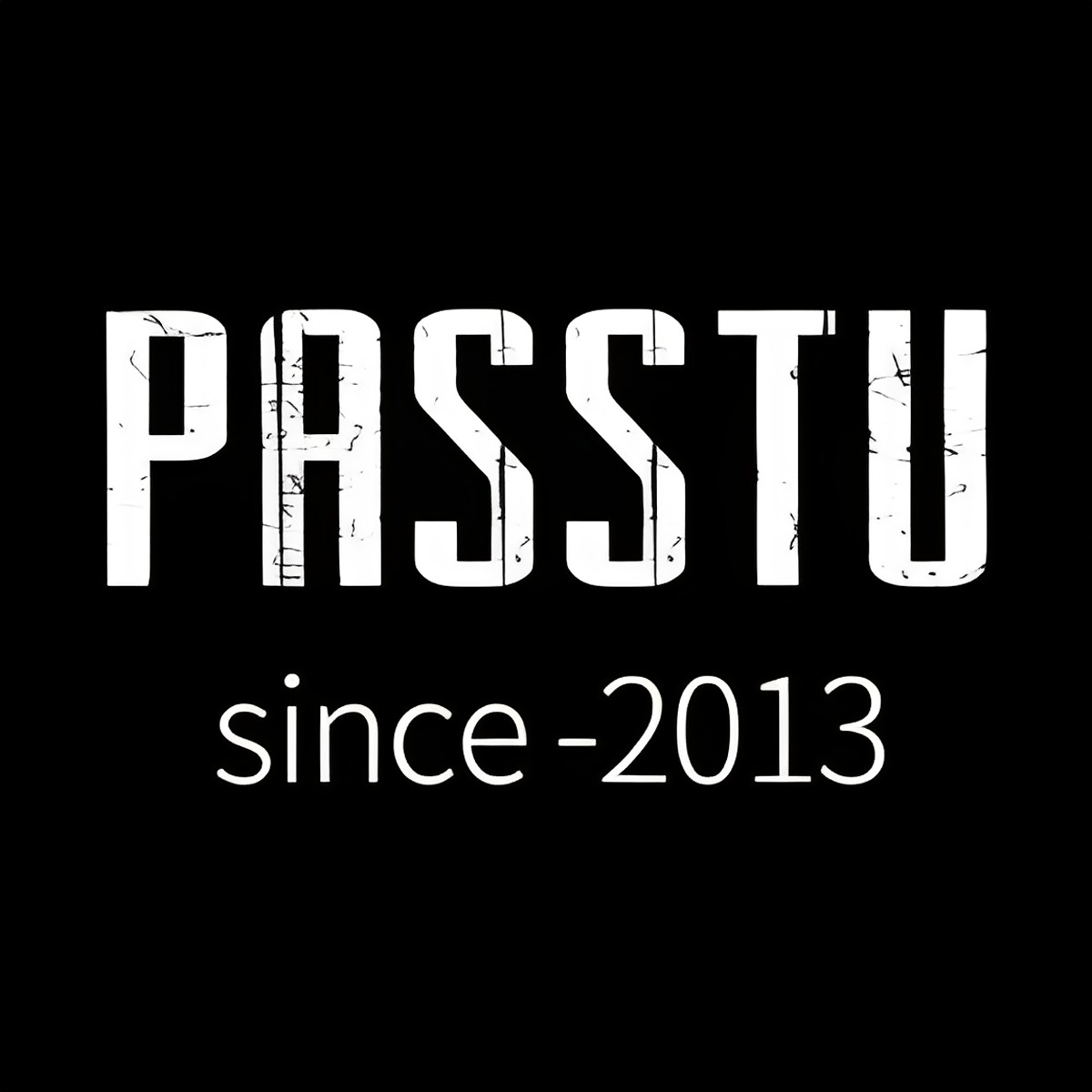 PASSTU高端行李箱
