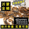 沂蒙全蝎店